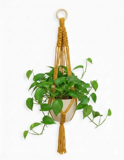 Macramé Plant Hanger Workshop